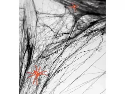 Pavučina s pavúkmi - čierna 60g