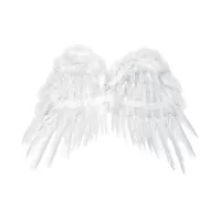 Anjelské krídla biela 53x37 cm