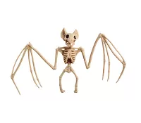 Halloweenska dekorácia kostra netopiera 30 cm
