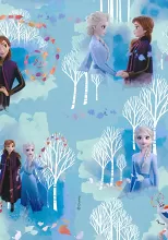 Baliaci papier Frozen - Ľadové kráľovstvo 2 x 0,70 m