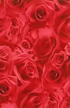 Baliaci papier ruža 2 x 0,7 m